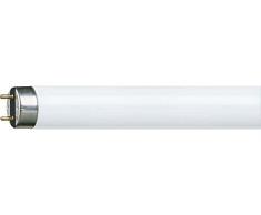 Philips MASTER TL-D Super 80 15W G13 B Blanco cálido - Lámpara (15 W, Tubo, T8, G13, 1000 lm, Blanco cálido)