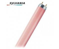 Sylvania 0002560 - Lámpara fluorescente t-8 estándar 18w rosa