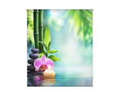 Blindecor Estor enrollable translÃºcido digital, Zen,W-Z-28223,150X180 cm