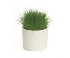 MICA Decorations 144051 Era Maceta para Indoor, cerámica, blanco, 12 x 12 x 10 cm