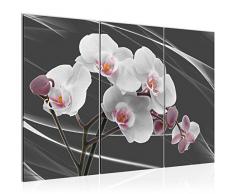 202931c - Cuadro de pared (120 x 80 cm, lienzo XXL, 3 piezas, fabricado en Alemania, listo para colgar), diseÃ±o de orquÃ­dea