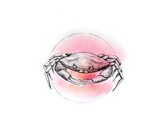 Komar Wandbild Von Crab Watercolor | Poster, Bild, Wohnzimmer, Schlafzimmer, Dekoration, Kunstdruck | ohne Rahmen | P080B-30x40 fotomural, Schwarz, WeiÃ, Rosa