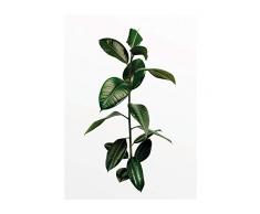 Komar Wandbild Von Ficus Branch | Poster, Bild, Wohnzimmer, Schlafzimmer, Dekoration, Kunstdruck | ohne Rahmen | P059-30x40 fotomural, Verde, Blanco