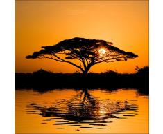 Pro-Art g1671a - Lienzo en impresiÃ³n giclÃ©e (30 x 30 cm), diseÃ±o de Paisaje Africano I, Multicolor, 50 x 50 cm