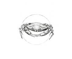 Komar Wandbild Von Crab White | Poster, Bild, Wohnzimmer, Schlafzimmer, Dekoration, Kunstdruck | ohne Rahmen | P080A-30x40 fotomural, Negro, Blanco