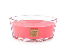 Pajoma Vela perfumada de pomelo casis, 500 g, en vaso con tapa de madera, edición premium, para aproximadamente 45 horas