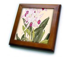 3dRose - Azulejos de orquídeas con Marco de Madera y cerámica, 8 x 8 cm, Color Rosa Claro y Oscuro