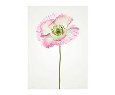 Komar Wandbild Von Poppy | Poster, Bild, Wohnzimmer, Schlafzimmer, Dekoration, Kunstdruck | ohne Rahmen | P069-30x40 fotomural, WeiÃ, Rosa, GrÃ¼n