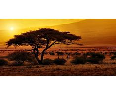 Pro-Art-Bilderpalette Mural fotogrÃ¡fico de Pared, Multicolor