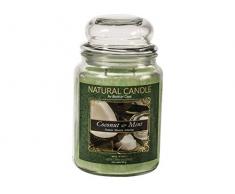 Nature Candle - Vela aromática, surtida, 1s