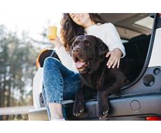 Sogni e capricci COPRISEDILE-NERO-140x147cm Cubierta del Asiento del Coche, 140x147cm, Negro