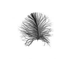 Komar Wandbild Von Feather White | Poster, Bild, Wohnzimmer, Schlafzimmer, Dekoration, Kunstdruck | ohne Rahmen | P121A-40x50 fotomural, Schwarz, WeiÃ