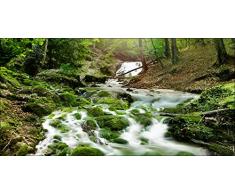 Pro-Art g1666a - Lienzo en impresiÃ³n giclÃ©e (30 x 30 cm), diseÃ±o de Paisaje mÃ­stico, Multicolor, 100 x 50 cm