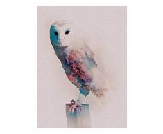 Komar Wandbild Von Animals Forest Owl | Poster, Bild, Wohnzimmer, Schlafzimmer, Dekoration, Kunstdruck | ohne Rahmen | P084A-30x40 fotomural, carbÃ³n