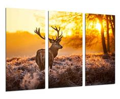 Poster FotogrÃ¡fico Paisaje Bosque Reno, Naturaleza, Animales TamaÃ±o total: 97 x 62 cm XXL