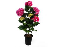 Leaf Design UK - Ãrbol de Flores Artificiales realistas, Color Rosa Hortensia, 90 cm
