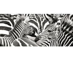 AG Design Fotomural, Multicolor, 0.1x202x90 cm