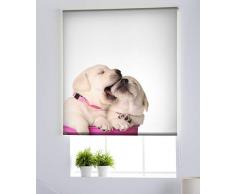 Estoralis A-196 Estor Enrollable Digital, Multicolor, 120 x 150 cm