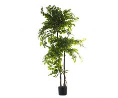 DRW Planta Artificial de un ficus de PU en Verde 160x25x25 cm
