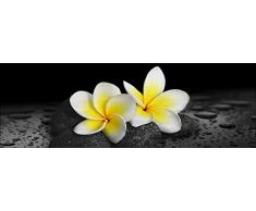 Pro-Art-Bilderpalette Mural fotogrÃ¡fico de Pared, Multicolor