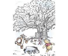 Komar Disney Wandbild Von fotomural, carbÃ³n, 30 x 40 cm