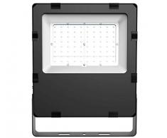 Espled Proyector LED 100W, 100 W, Negro
