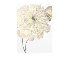 Komar Wandbild Von Illustration Dahlia | Poster, Bild, Wohnzimmer, Schlafzimmer, Dekoration, Kunstdruck | ohne Rahmen | P063-30x40 fotomural, WeiÃ, Lilla, GrÃ¼n