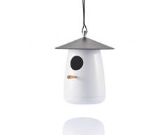 XD DESIGN - Casa para pájaros (6 piezas, tamaño pequeño)