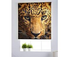 Estoralis A-122 Estor Enrollable Digital, Multicolor, 70 x 150 cm