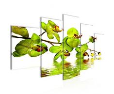 Runa Art imágenes flores OrquÃdea Wandbild 200 x 100 cm Vlies - lienzo XXL formato Wandbilder salón vivienda Deko Kunstdrucke verde 5 piezas - Made in Germany - terminado de colgar 200151a