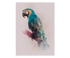 Komar Wandbild Von Animals Paradise Parrot | Poster, Bild, Wohnzimmer, Schlafzimmer, Dekoration, Kunstdruck | ohne Rahmen | P083B-30x40 fotomural, carbÃ³n