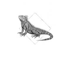 Komar Wandbild Von Iguana White | Poster, Bild, Wohnzimmer, Schlafzimmer, Dekoration, Kunstdruck | ohne Rahmen | P077A-30x40 fotomural, Negro, Blanco