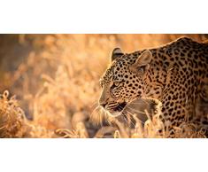 Pro-Art-Bilderpalette Mural fotográfico de Pared, Multicolor