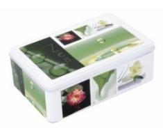 Faveco Caja Rectangular de Ordenación, Metal, Multicolor, 20.5x7x13.5 cm