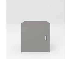 Phoenix Safe Fortuna - Cajonera para Puerta, Color Gris