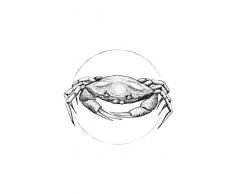 Komar Wandbild Von Crab White | Poster, Bild, Wohnzimmer, Schlafzimmer, Dekoration, Kunstdruck | ohne Rahmen | P080A-50x70 fotomural, Negro, Blanco