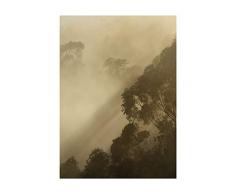 Komar Wandbild Von Golden Light | Poster, Bild, Wohnzimmer, Schlafzimmer, Dekoration, Kunstdruck | ohne Rahmen | PSH100-30x40 fotomural, GrÃ¼n, WeiÃ, Schwarz