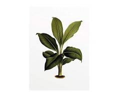 Komar Wandbild Von Elastica Leaf | Poster, Bild, Wohnzimmer, Schlafzimmer, Dekoration, Kunstdruck | ohne Rahmen | P055-30x40 fotomural, Grün, Weiß, Schwarz, Braun