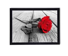 Cuadro en marco, póster moderno, pared artÃstica, varios temas de 50 x 70 cm (La rosa sola)