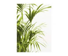 Komar Wandbild Von Reed Leaves | Poster, Bild, Wohnzimmer, Schlafzimmer, Dekoration, Kunstdruck | ohne Rahmen | P062-30x40 fotomural, Verde, Blanco