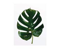 Komar Wandbild Von Monstera Leaf | Poster, Bild, Wohnzimmer, Schlafzimmer, Dekoration, Kunstdruck | ohne Rahmen | P057-40x50 fotomural, Verde, Blanco