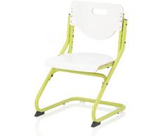Kettler Escritorio Silla Chair Plus White, Verde y Blanco, Metal, 47 x 62 x 47 cm