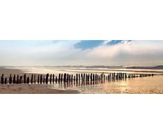 Pro-Art-Bilderpalette Mural fotogrÃ¡fico de Pared, Multicolor