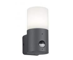 Trio Leuchten Hoosic Lampara de Pared de Exterior, Gris Oscuro/Blanco
