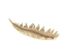 Clayre & Eef 6PR2445 - Cuenco Decorativo, diseÃ±o de Hoja de Palmera 47 x 21 x 5 cm.