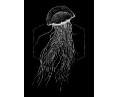 Komar Wandbild Von Jellyfish Black | Poster, Bild, Wohnzimmer, Schlafzimmer, Dekoration, Kunstdruck | ohne Rahmen | P078D-50x70 fotomural, Blanco, Negro