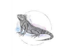 Komar Wandbild Von Iguana Watercolor | Poster, Bild, Wohnzimmer, Schlafzimmer, Dekoration, Kunstdruck | ohne Rahmen | P077B-40x50 fotomural, Schwarz, WeiÃ, Rosa, Blau