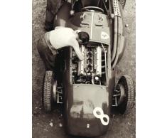 Jesse Alexander WDC21612 - Lienzo preestirado