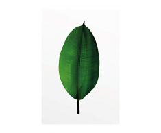 Komar Wandbild Von Ficus Leaf | Poster, Bild, Wohnzimmer, Schlafzimmer, Dekoration, Kunstdruck | ohne Rahmen | P058-50x70 fotomural, Verde, Blanco