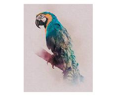 Komar Wandbild Von Animals Paradise Parrot | Poster, Bild, Wohnzimmer, Schlafzimmer, Dekoration, Kunstdruck | ohne Rahmen | P083B-40x50 fotomural, carbÃ³n